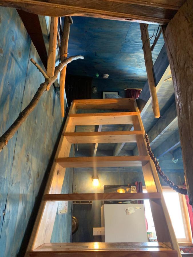 Cottonwood Cabins Fritz Creek 외부 사진