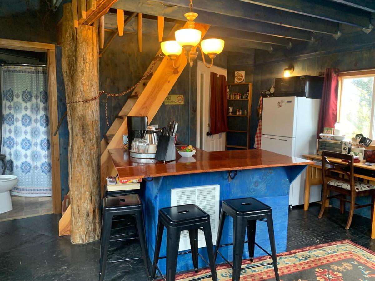 Cottonwood Cabins Fritz Creek 외부 사진