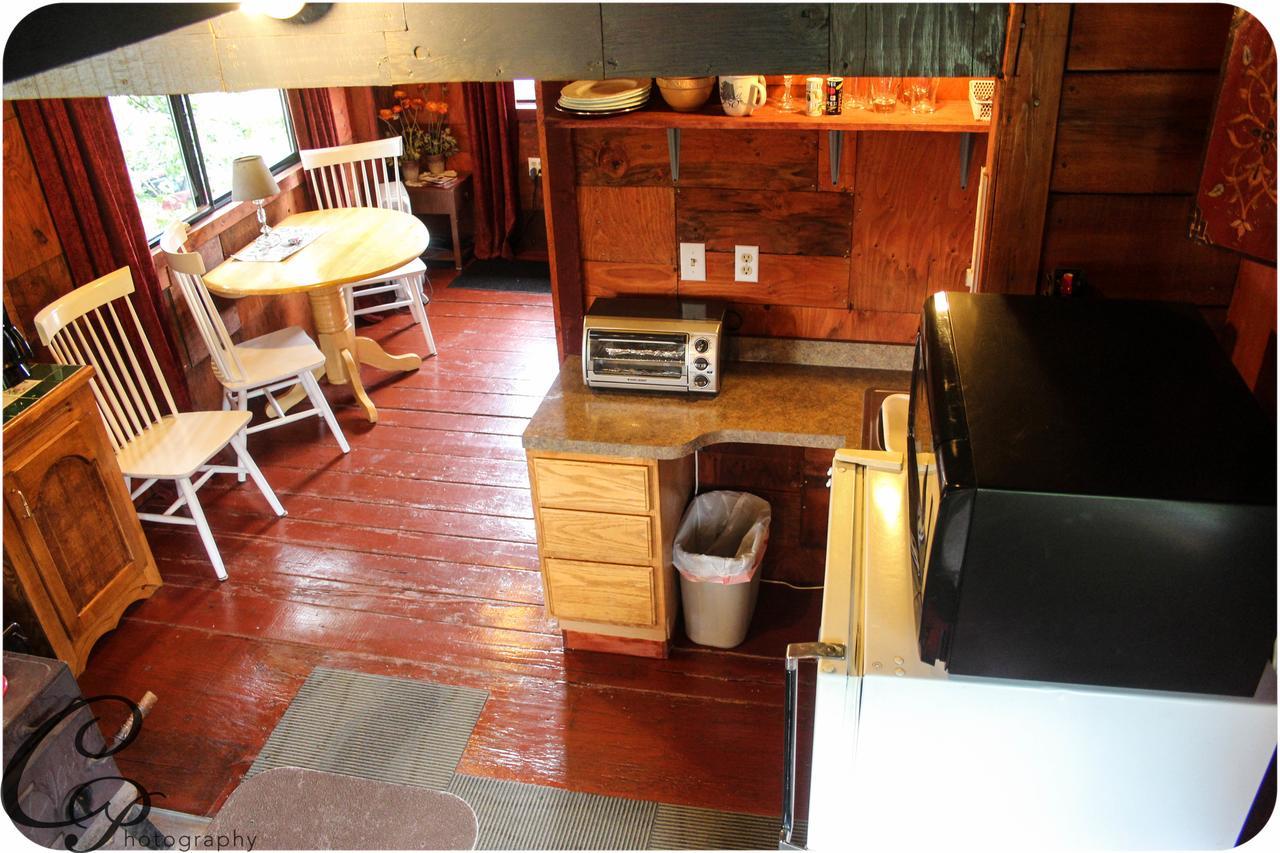 Cottonwood Cabins Fritz Creek 외부 사진