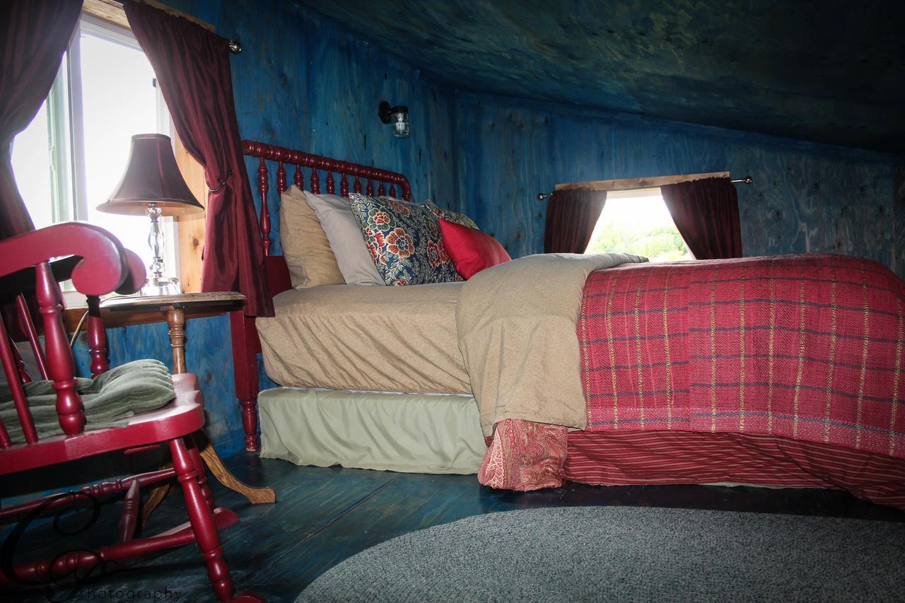 Cottonwood Cabins Fritz Creek 외부 사진