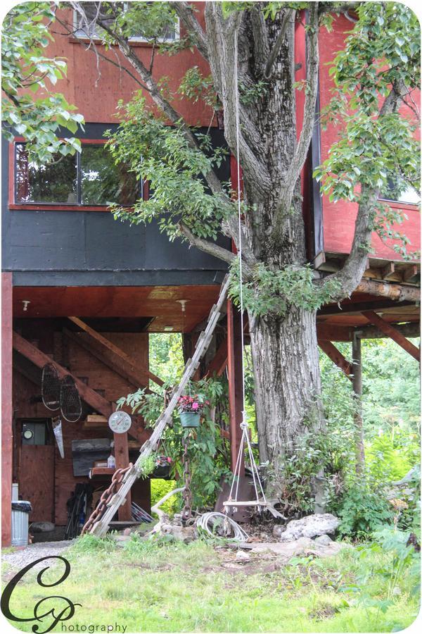 Cottonwood Cabins Fritz Creek 외부 사진