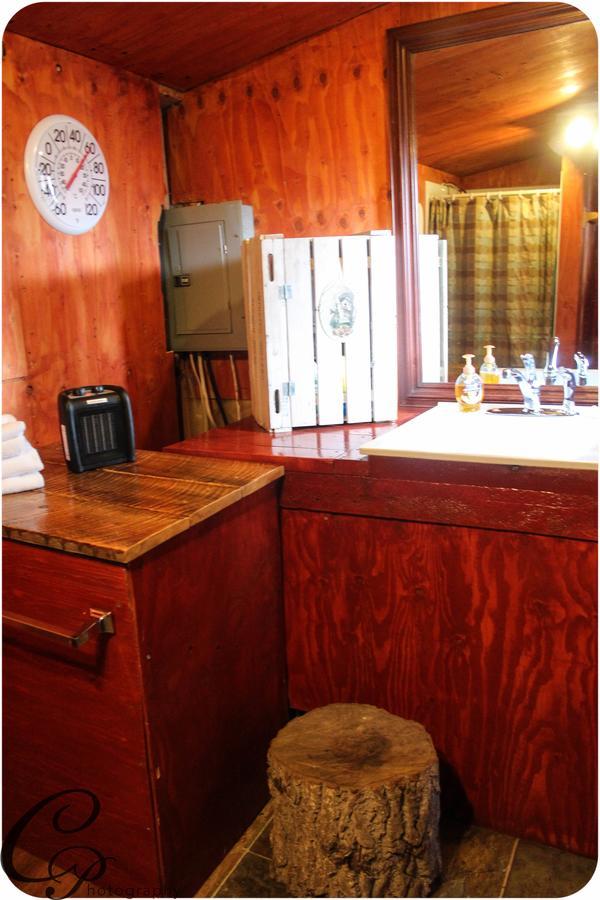 Cottonwood Cabins Fritz Creek 외부 사진